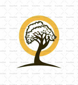 Baumsilhouette und Sonne